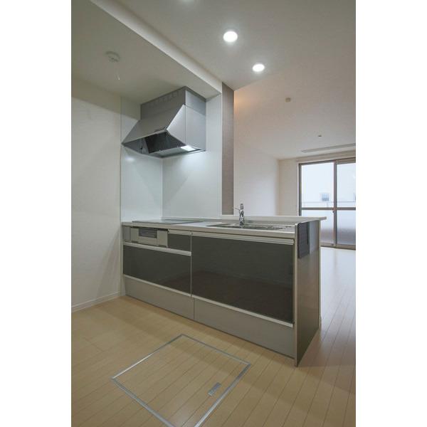 シャーメゾンヒロ（103） 部屋画像