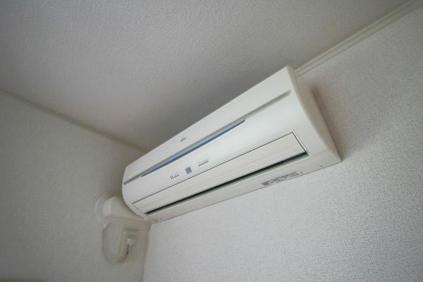 オリーブ 部屋画像