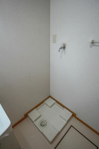 オリーブ 部屋画像