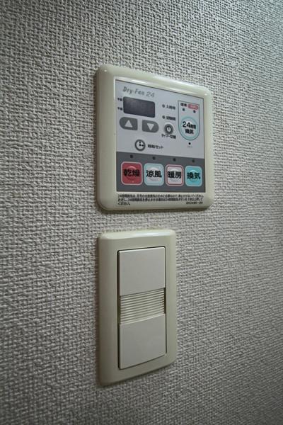 オリーブ 部屋画像