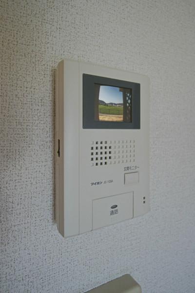 オリーブ 部屋画像