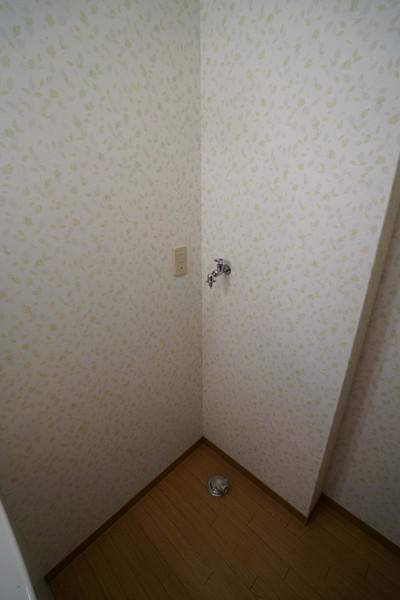セシーズ兼基 B その他