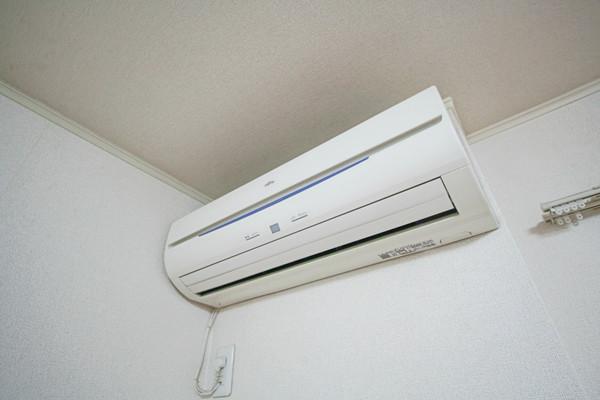 ビオレータ 部屋画像