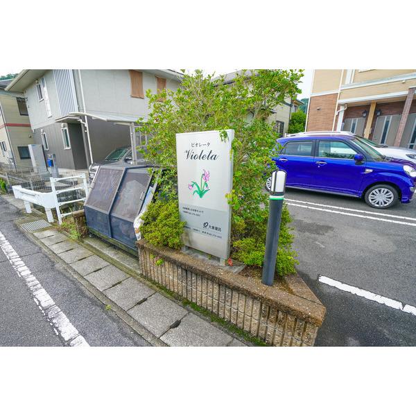 ビオレータ その他