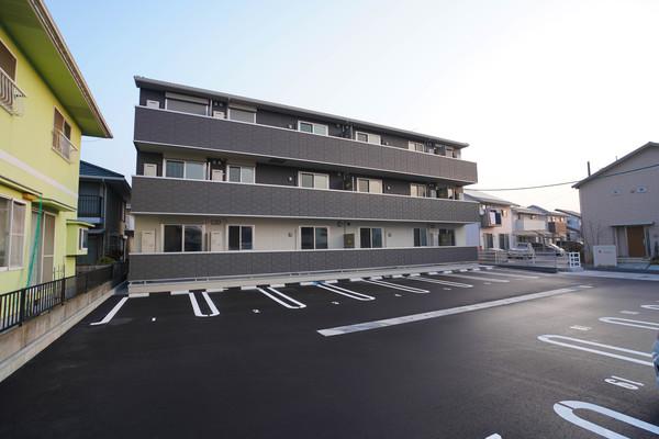 Cardano 外観