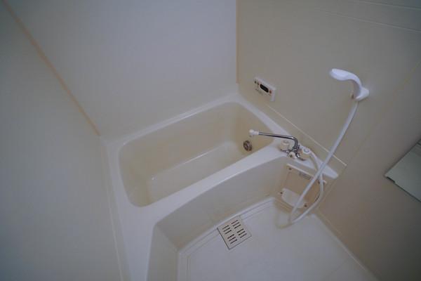 ラフィーネＡＹＡ　Ａ棟 部屋画像