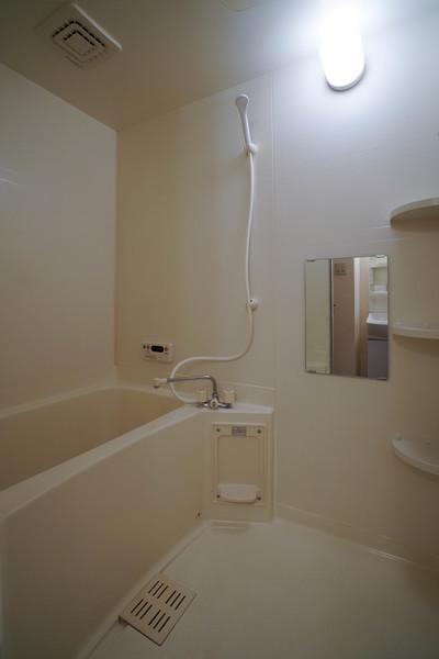 ラフィーネＡＹＡ　Ａ棟 部屋画像