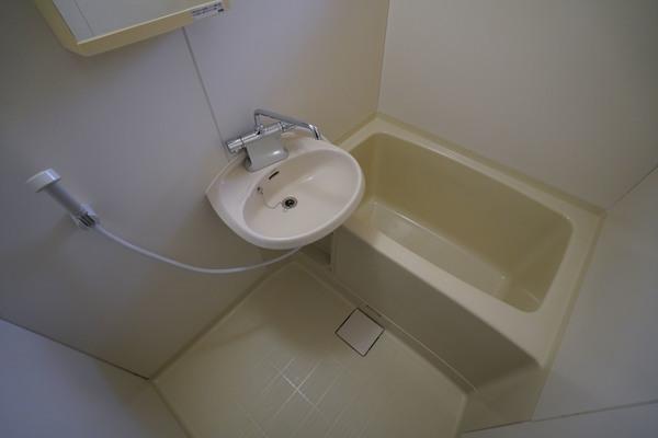プラントコート　Ａ 部屋画像