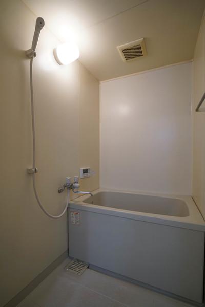 エクセルフラッツⅡ（102） 部屋画像