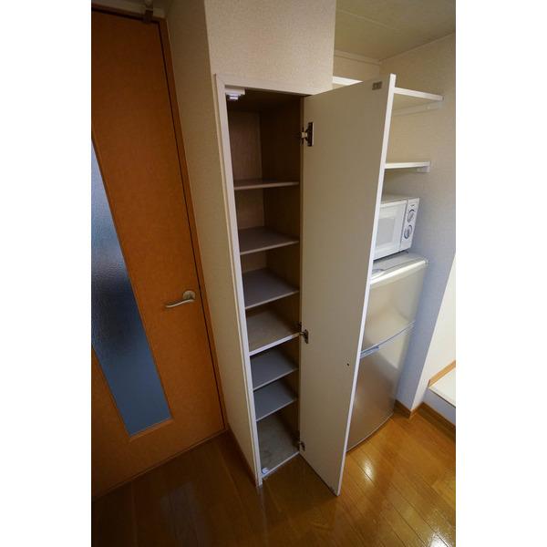 レオパレステラ 収納