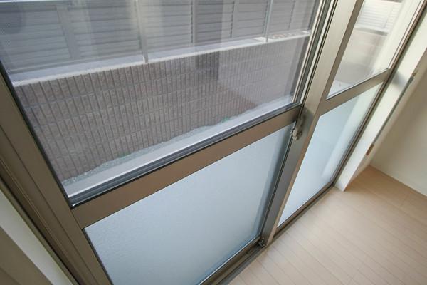 シャイン 庭