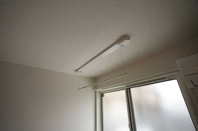 シャリテ その他