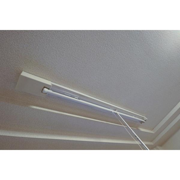 ルナフォレスト 部屋画像