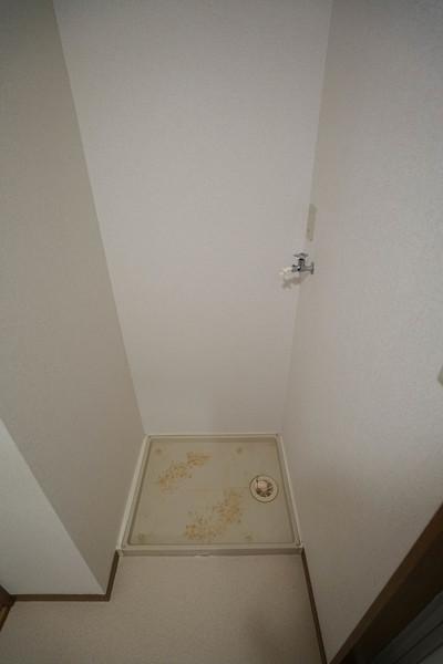 シャルマン竜之口C 部屋画像