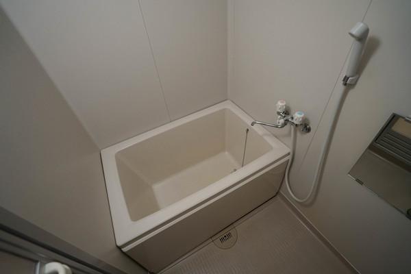 シャルマン竜之口C 部屋画像