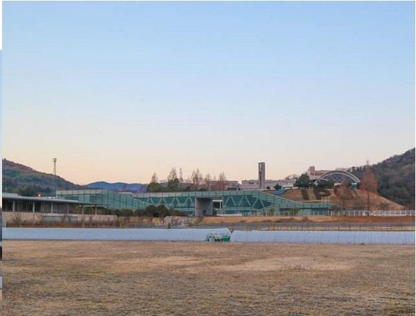 環太平洋大学附属図書館：6225m