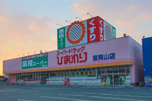 スーパードラッグひまわり東岡山店：538m