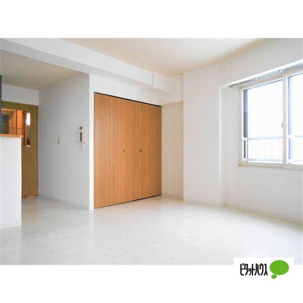 札幌市中央区北三条西マンション 収納
