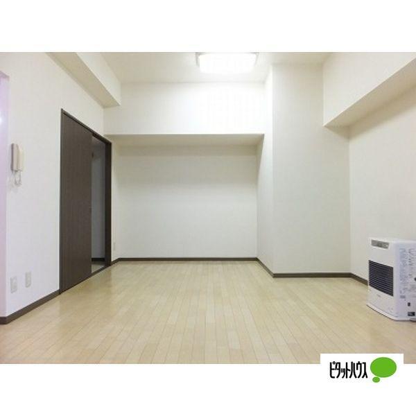 札幌市豊平区平岸五条マンション その他部屋・スペース