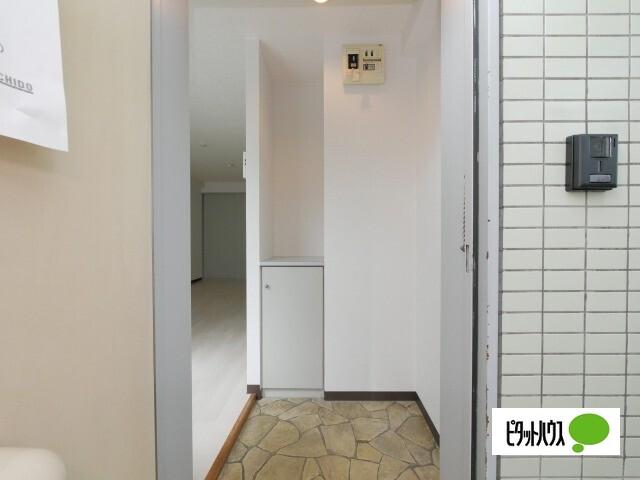 フロンティア161 その他