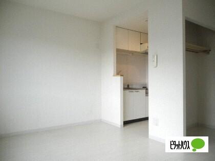 CASA COMODO その他