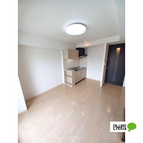 札幌市北区北十七条西マンション その他