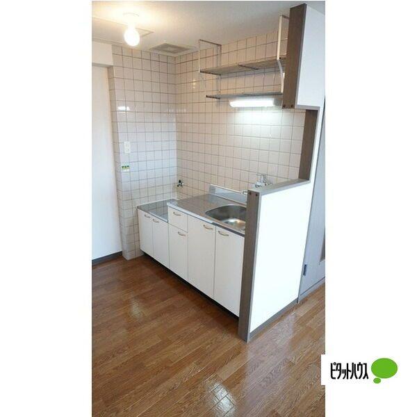 札幌市厚別区青葉町マンション その他