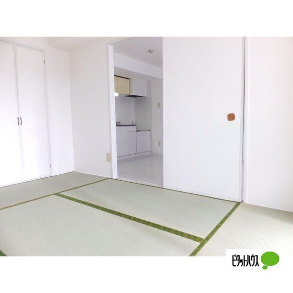 札幌市中央区南十七条西マンション その他