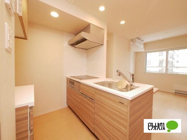札幌市中央区南一条西マンション キッチン