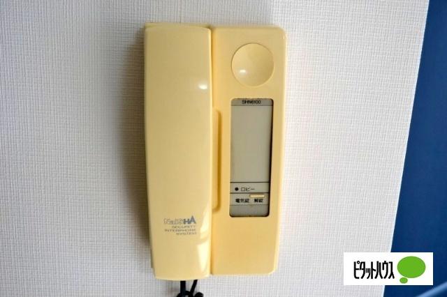 αNEXT平和通 セキュリティ