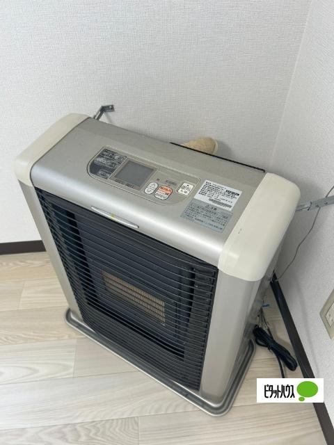 セントポーリア アイリス その他