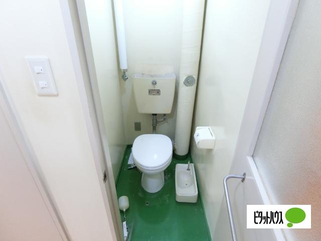 パークヒルズ真々地Ⅱ トイレ