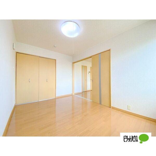 PLATA FAZ その他