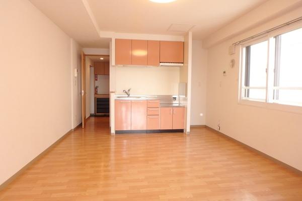札幌市白石区南郷通マンション その他