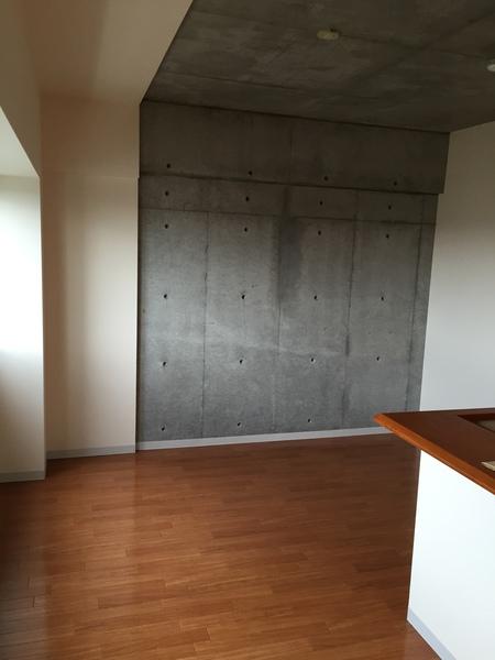 札幌市厚別区青葉町マンション その他部屋・スペース