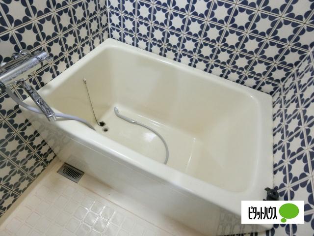札幌市白石区菊水七条マンション バス／シャワー