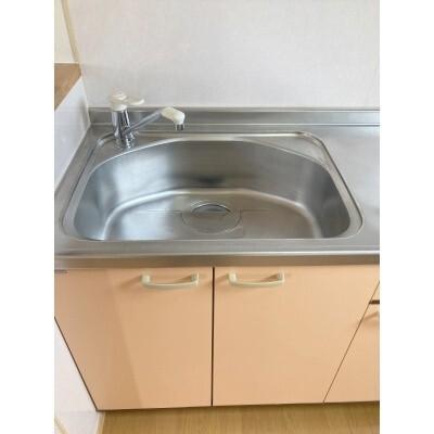 パストール210 その他