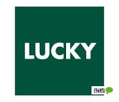 ラッキー新琴似四番通店：215m