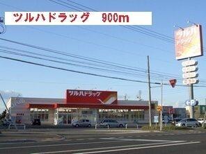 ツルハドラッグ：900m