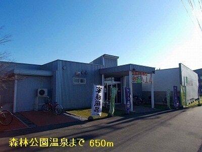 森林公園温泉：650m