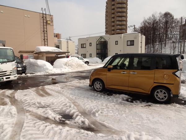 グレースパーク新札幌Ｄ 物件画像
