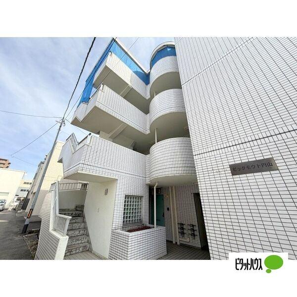 ビッグモウト円山 物件画像