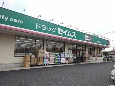 ドラッグセイムス越谷花田店：550m