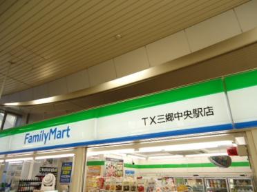 ファミリーマートTX三郷中央駅店：770m