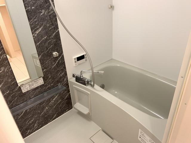 ﾛｲｼﾞｪﾝﾄﾊﾟｰｸｽ ﾚｲｸﾀｳﾝ　Ｂ（103） 部屋画像