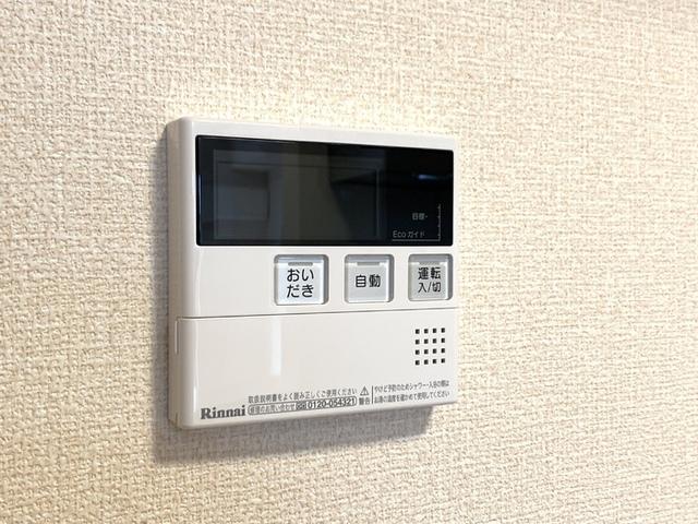 ﾛｲｼﾞｪﾝﾄﾊﾟｰｸｽ ﾚｲｸﾀｳﾝ　Ｂ（103） 部屋画像