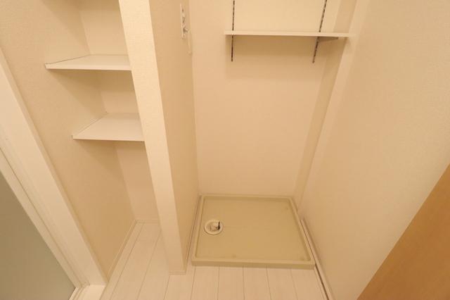 ﾛｲｼﾞｪﾝﾄﾊﾟｰｸｽ ﾚｲｸﾀｳﾝ Ⅲ　Ｈ（202） 部屋画像