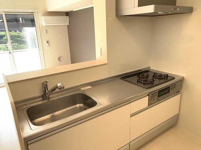 ﾛｲｼﾞｪﾝﾄﾊﾟｰｸｽ ﾚｲｸﾀｳﾝ Ⅱ　A（107） 部屋画像