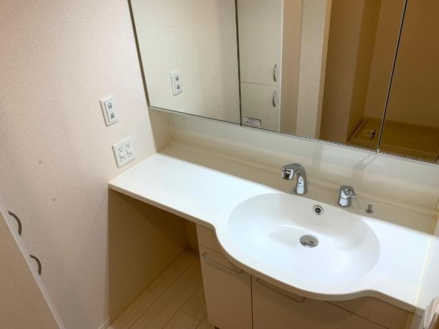 ﾛｲｼﾞｪﾝﾄﾊﾟｰｸｽ ﾚｲｸﾀｳﾝ Ⅱ　A（107） 部屋画像