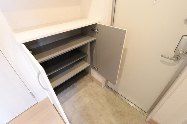 ﾛｲｼﾞｪﾝﾄﾊﾟｰｸｽ ﾚｲｸﾀｳﾝ Ⅱ　C（103） 部屋画像